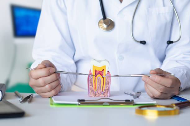 Best Broken or Chipped Tooth Repair in Vla Grove, IL